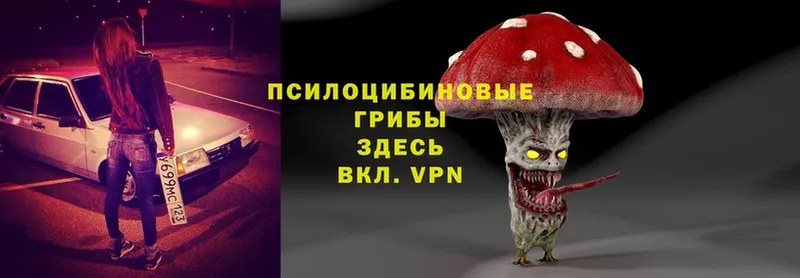 Галлюциногенные грибы Cubensis  купить наркотики сайты  KRAKEN ССЫЛКА  Балашов 